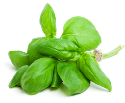 Reducir la formación de gases intestinales